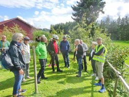 10-Bei Jakob Mayer in Zacking