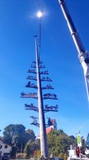 1Maibaum wird umgelegt