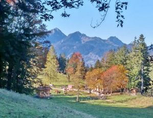 1Samerberger Herbst 3