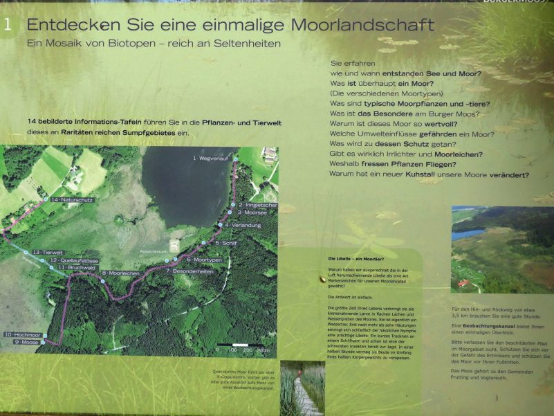 2016_04-G_Leitsmueller-P02_Moorlehrpfad_Burgermoos