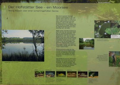 2016_04-G_Leitsmueller-P03_Moorlehrpfad_Burgermoos