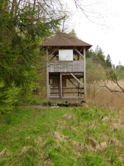 2016_04-G_Leitsmueller-P06_Moorlehrpfad_Burgermoos