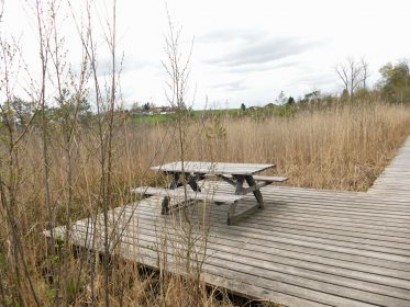 2016_04-G_Leitsmueller-P14_Moorlehrpfad_Burgermoos