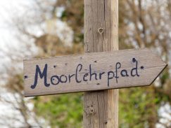 2016_04-G_Leitsmueller-P19_Moorlehrpfad_Burgermoos