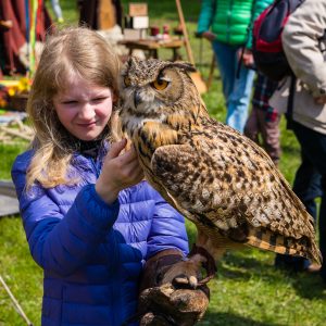 Lebendiges Mittelalter auf den Wiesen am Chiemsee im Seepark Bernau – Felden