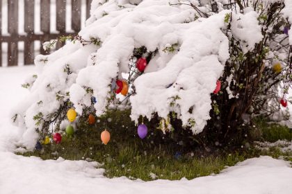 Schnee-Fruehling-1006699