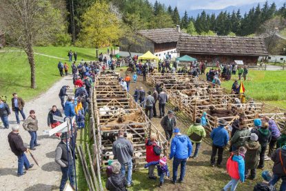 kl-FLM_Glentleiten_2