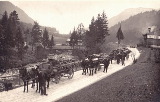 sach 08 183 Holztransport 1918