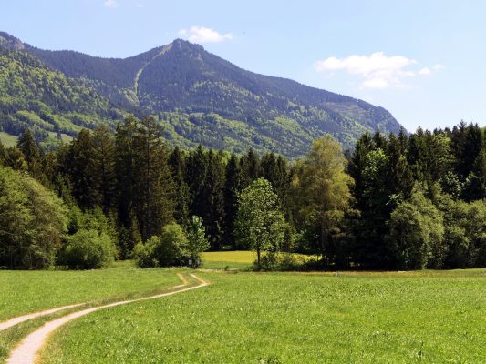 P01 SamerbergerFuizn