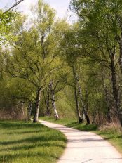 P013 Chiemseewanderung