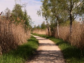 P018 Chiemseewanderung