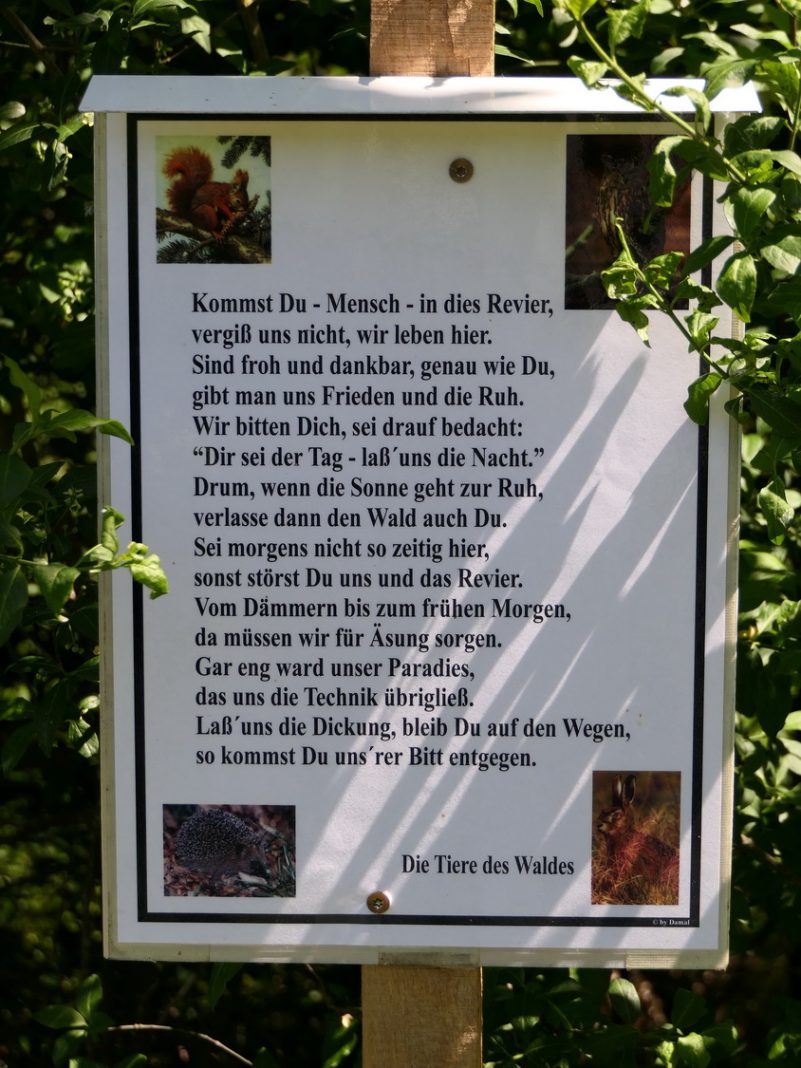 P02 SamerbergerFuizn