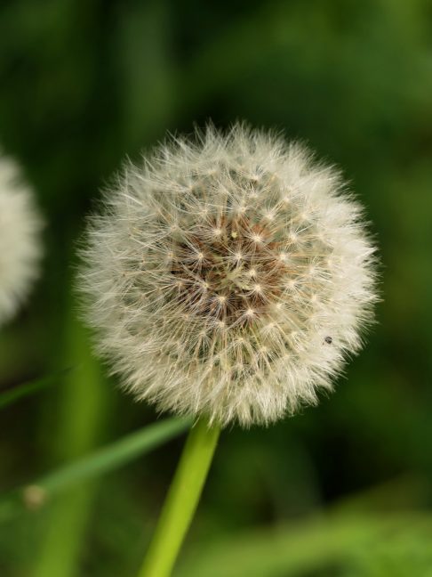 P037 Chiemseewanderung