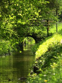 P038 Chiemseewanderung