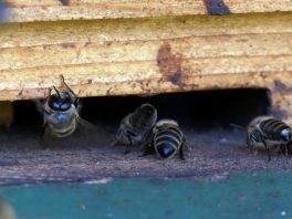 P09 SamerbergerFuizn