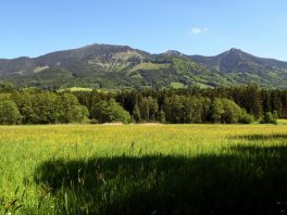 P11 SamerbergerFuizn