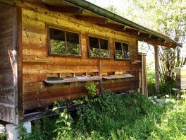 P12 SamerbergerFuizn