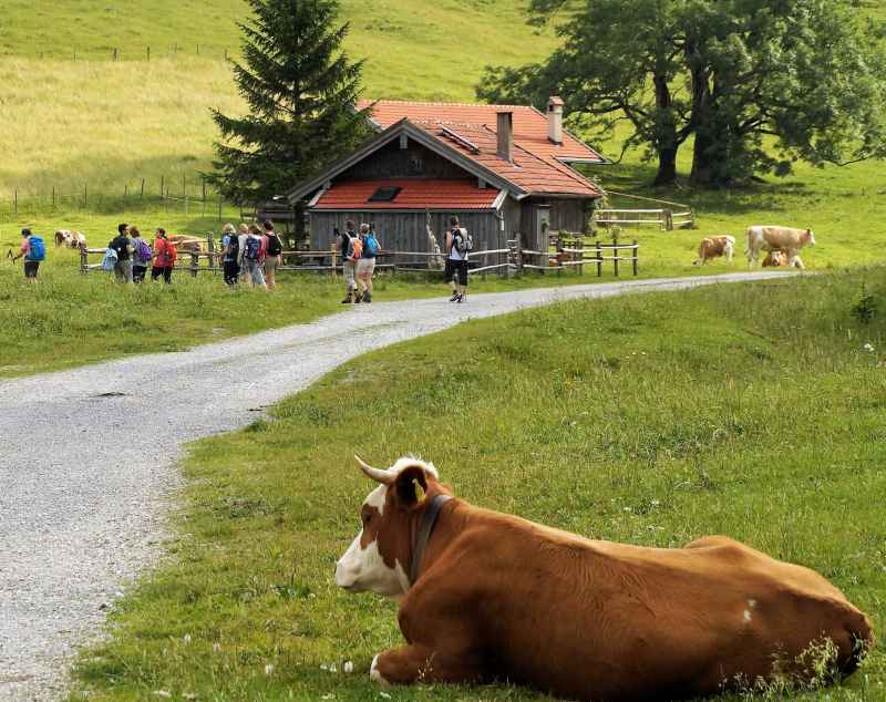 Auf einen Ratsch bei der Sennerin I
