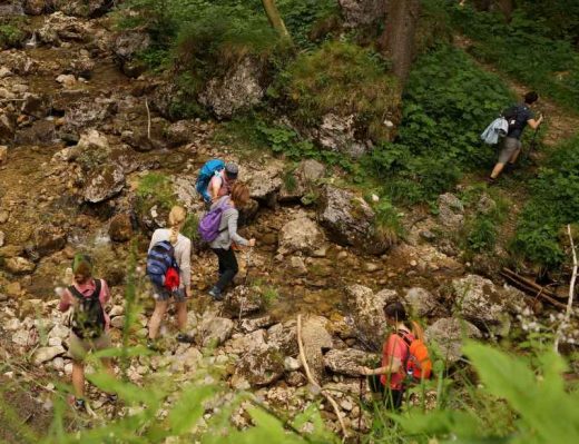 Auf einen Ratsch bei der Sennerin II