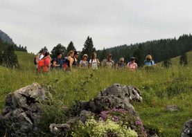 Auf einen Ratsch bei der Sennerin III