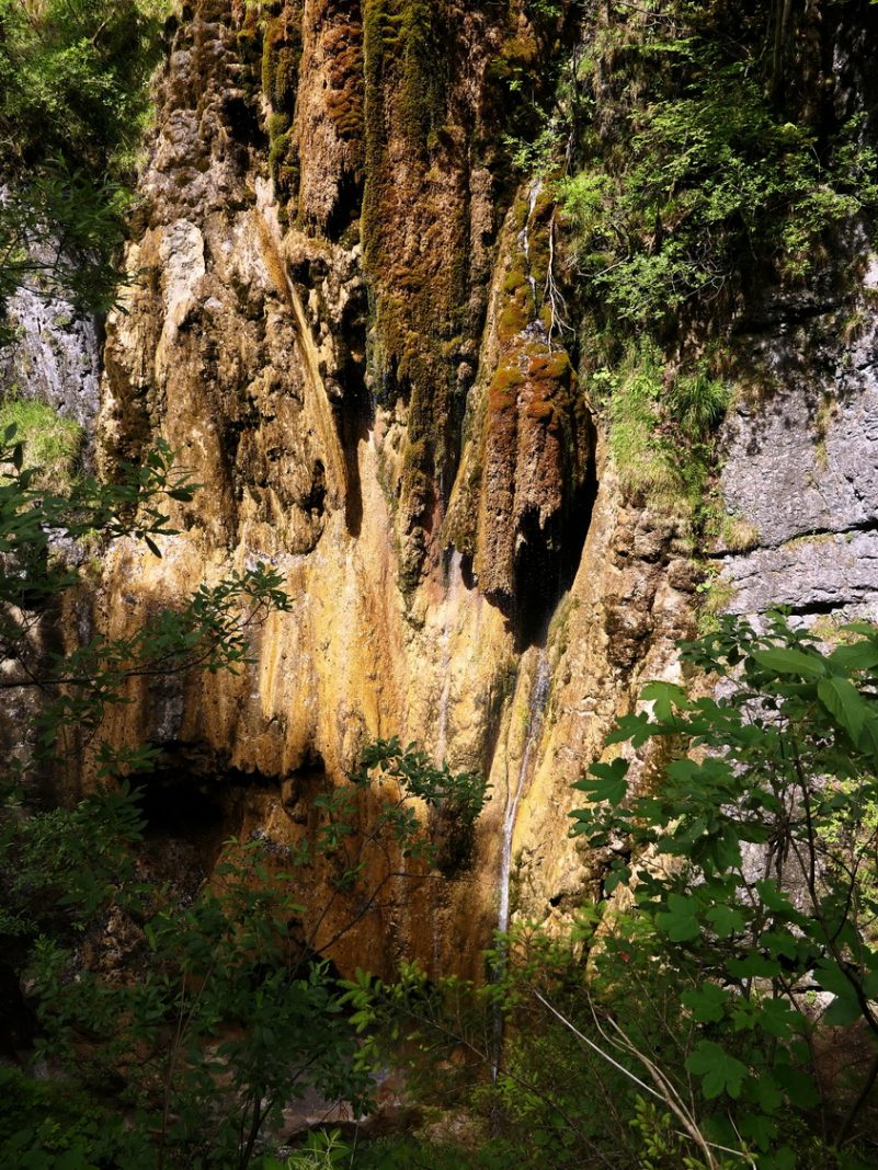 P12 Gießenbachklamm