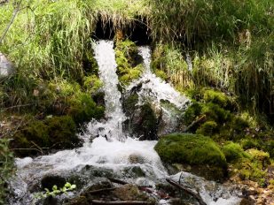 P18 Gießenbachklamm