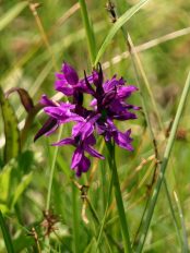 P19 Gießenbachklamm