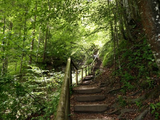 kl-P09 Gießenbachklamm