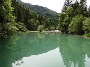 kl-P32 Gießenbachklamm