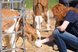 Margarete Bause Samerberg 4