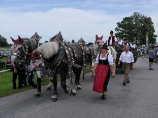 P37 FestzugNeubeuern