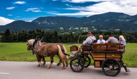 Kutschfart Hochries 2a