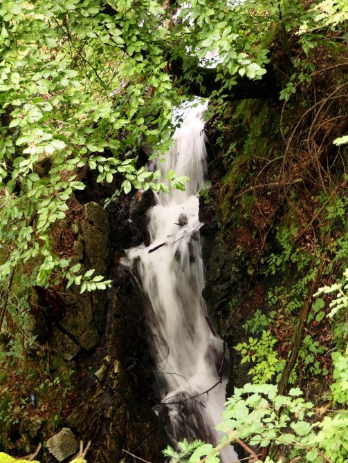 P001 HechtseewanderungManuela