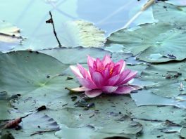 P007 HechtseewanderungManuela