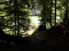 P011 HechtseewanderungManuela