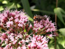 P013 HechtseewanderungManuela