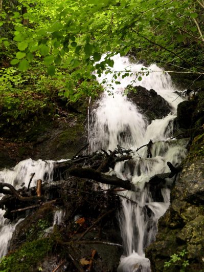 P017 HechtseewanderungManuela