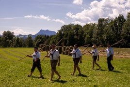 Rosserer-und-Fuhrleiddog-1005056