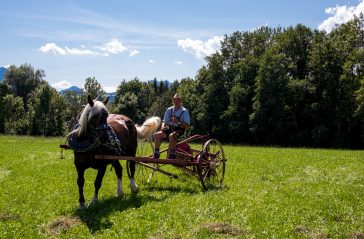 Rosserer-und-Fuhrleiddog-1005217