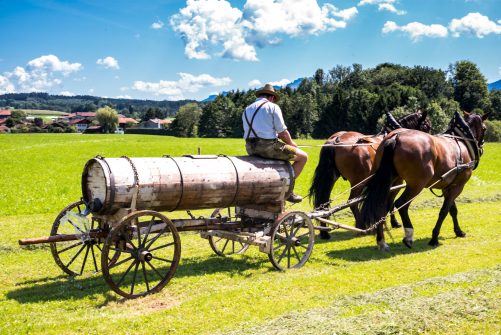 Rosserer-und-Fuhrleiddog-1005222