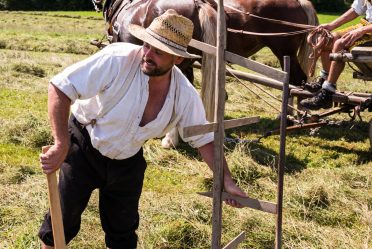 Rosserer-und-Fuhrleiddog-1005307