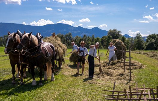Rosserer-und-Fuhrleiddog-1005372