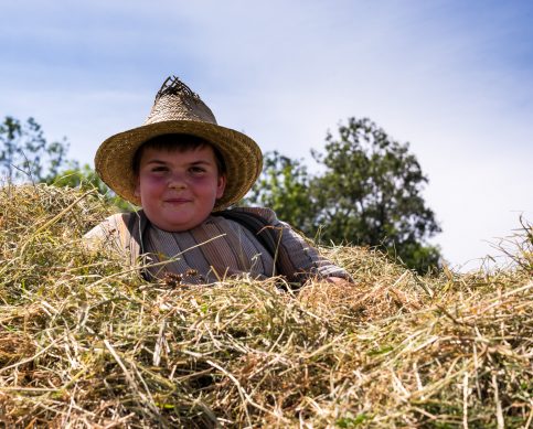 Rosserer-und-Fuhrleiddog-1005412