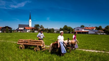 Rosserer-und-Fuhrleiddog-1100712