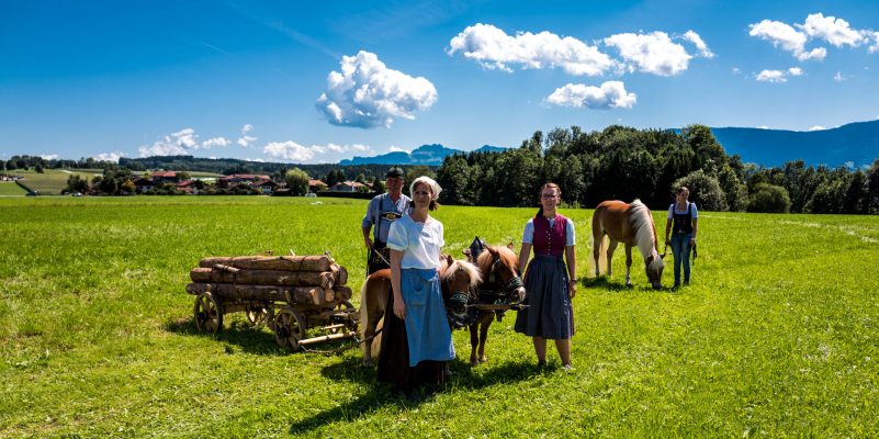 Rosserer-und-Fuhrleiddog-1100732
