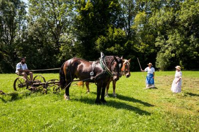 Rosserer-und-Fuhrleiddog-1100818
