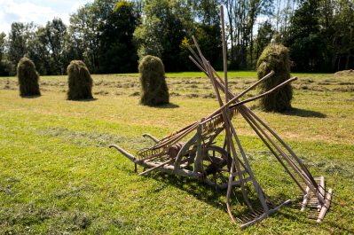 Rosserer-und-Fuhrleiddog-1100866