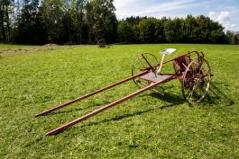 Rosserer-und-Fuhrleiddog-1100871