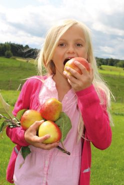 FLM_Glentleiten_Apfel_Kind_Krieter