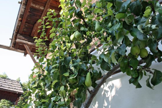 FLM Glentleiten, 20.08.09